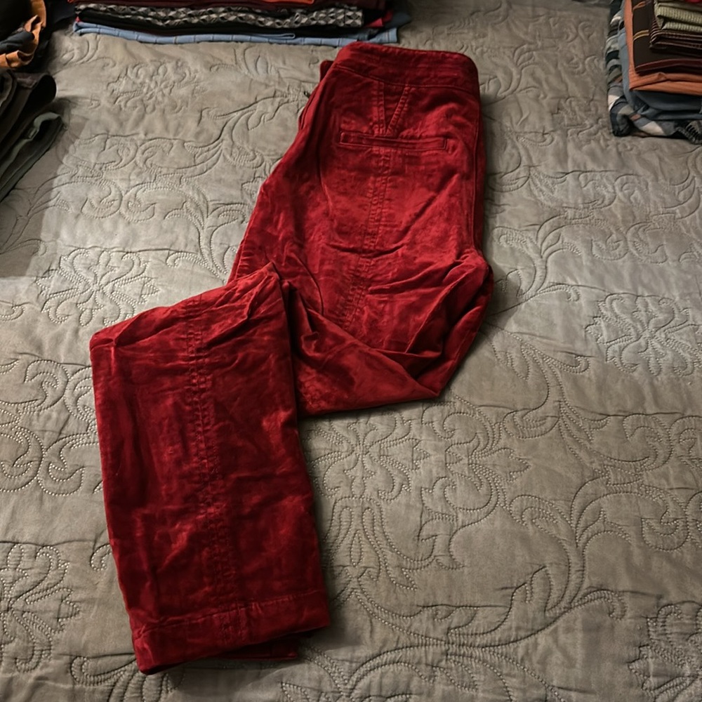 Anthropologie Velvet Pants